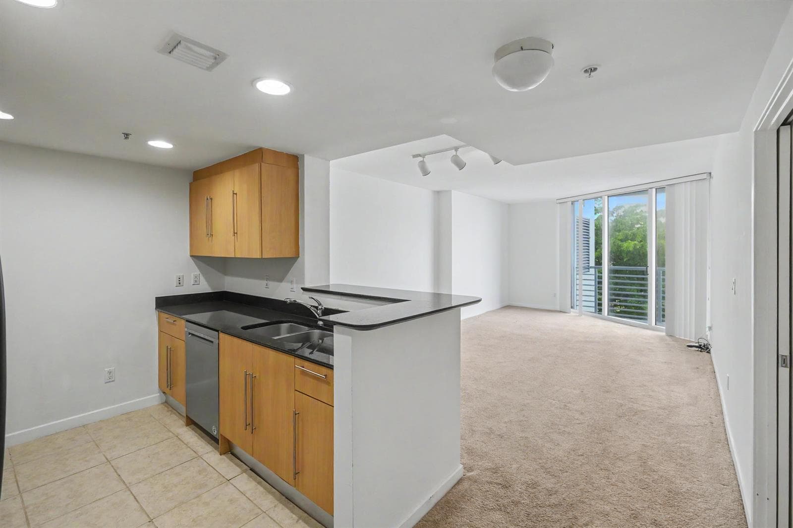 Condominium at 335 S Biscayne Boulevard # 1002, Miami FL 33131